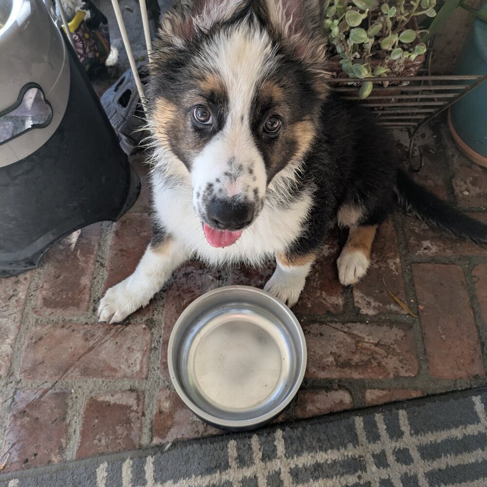 Meet your Posher, Christina